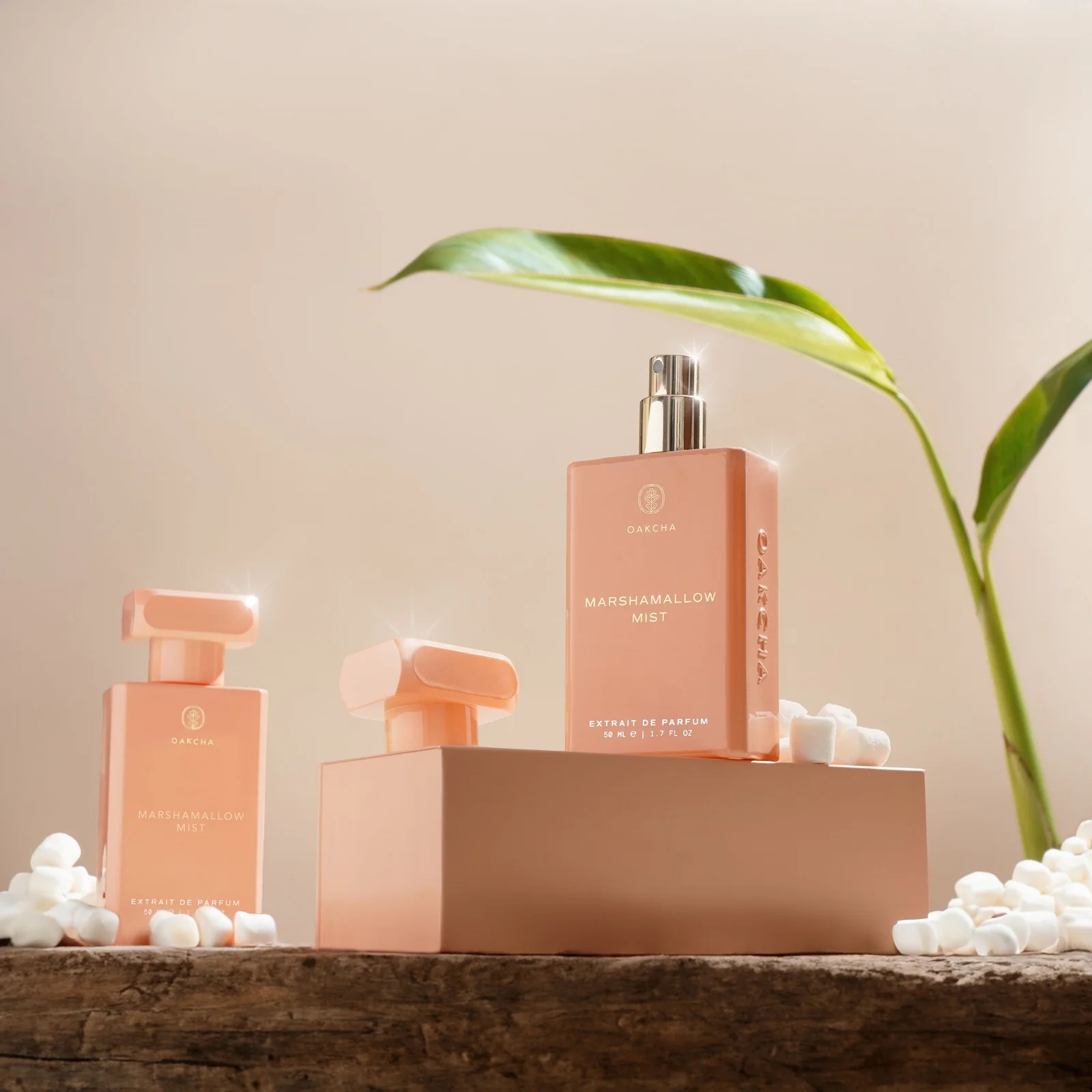 Oakcha Extrait De Parfum 50ml  - Luxury Lifestyle Aesthetics reseña y precio