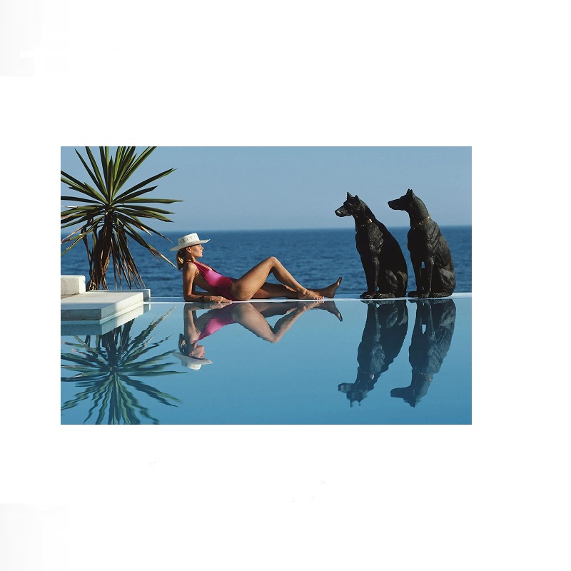 Retro Poolside Host Luxury Lif - Luxury Lifestyle Pictures reseña y precio